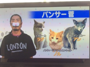 パンサー菅の飼っている猫