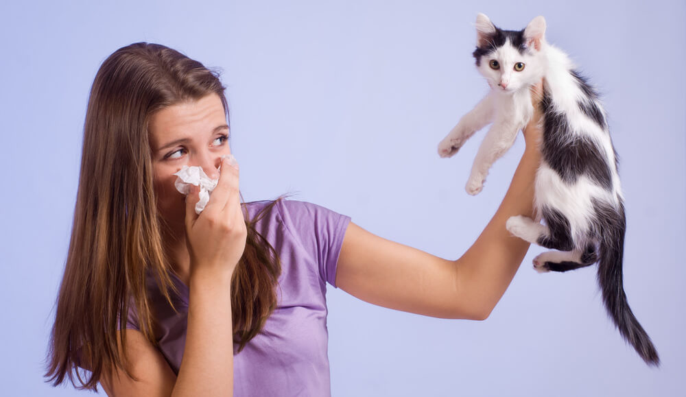 猫アレルギー