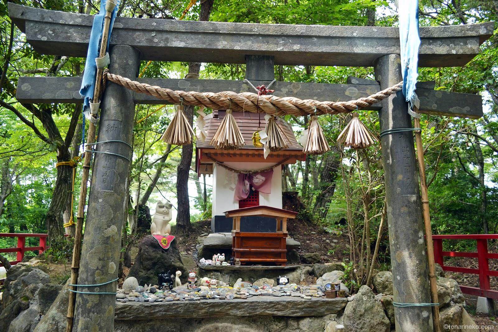 ネコ神社