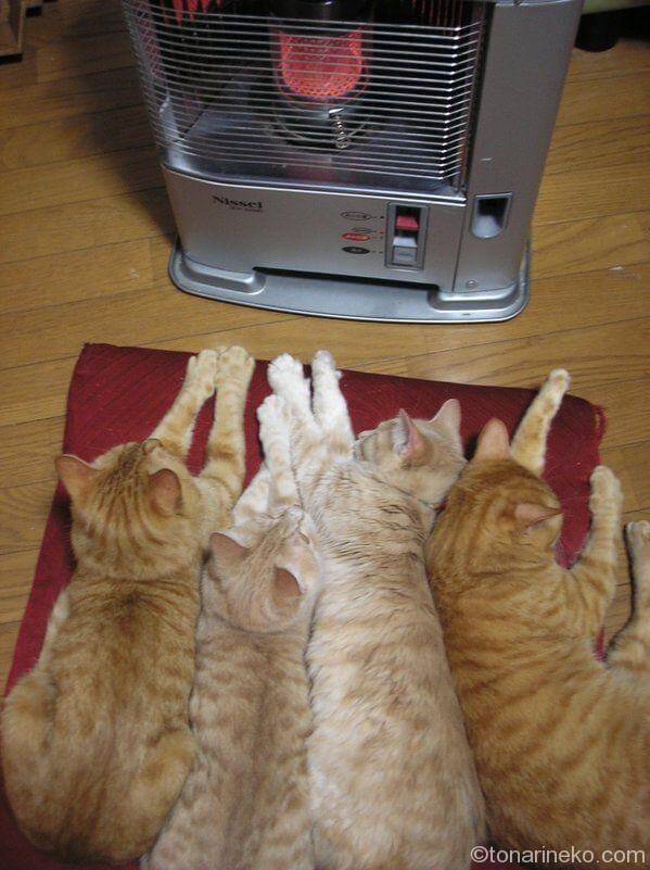 暖房注意