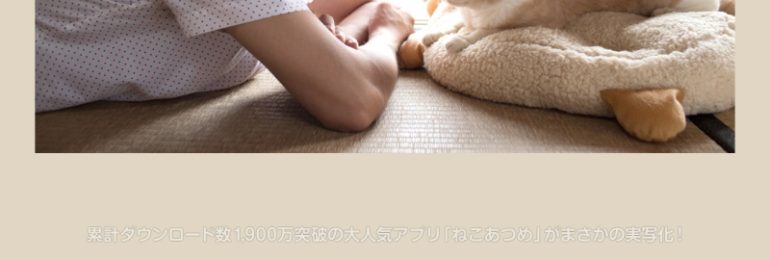 ねこあつめ映画