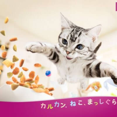 カルカン