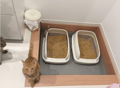 体験談 システムトイレ用の猫砂 パインウッド のリアルなレビューとは となりねこ