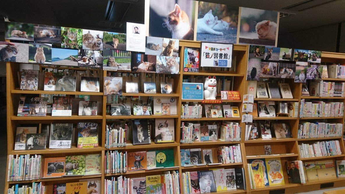猫ノ図書館