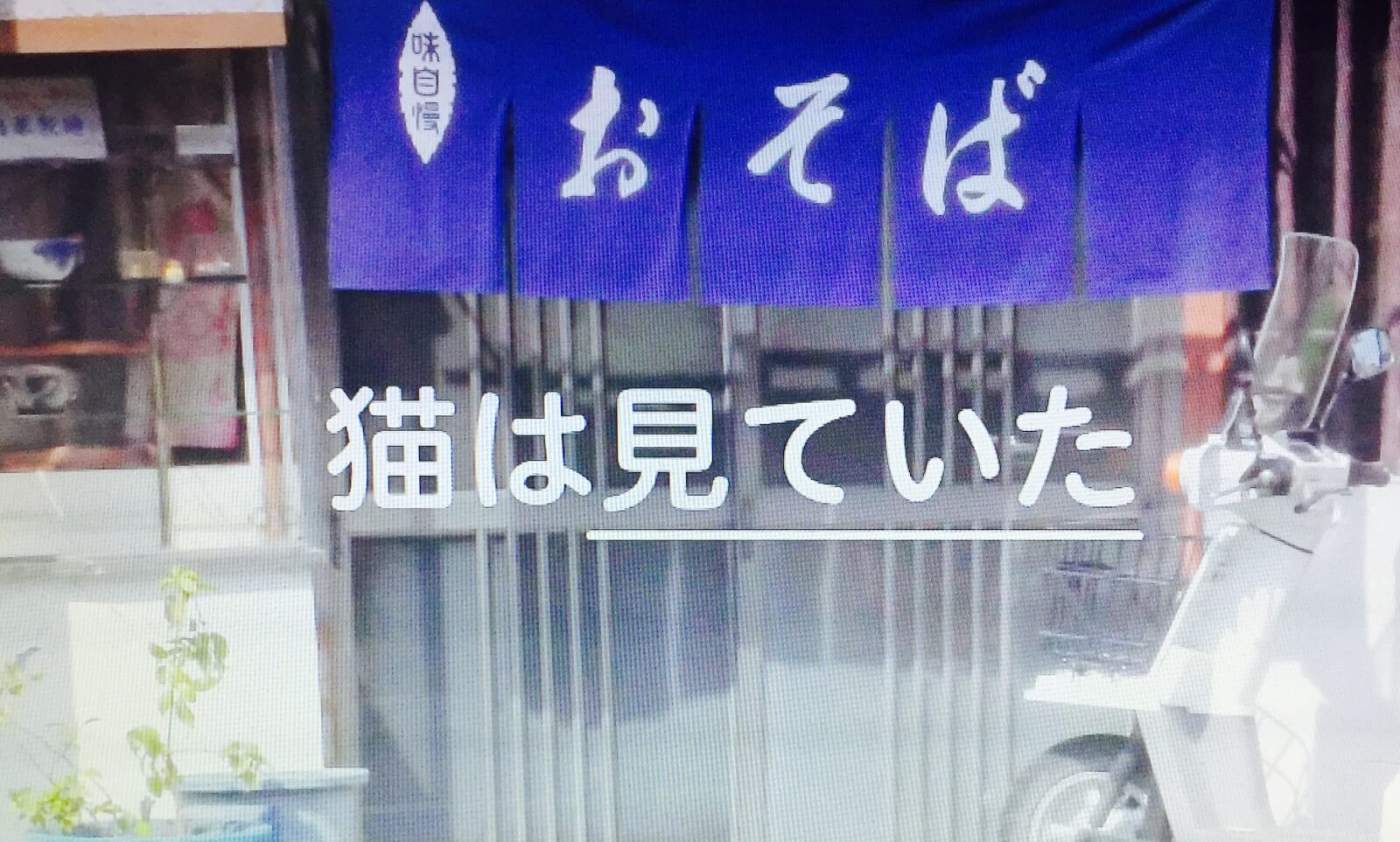 猫は見ていた