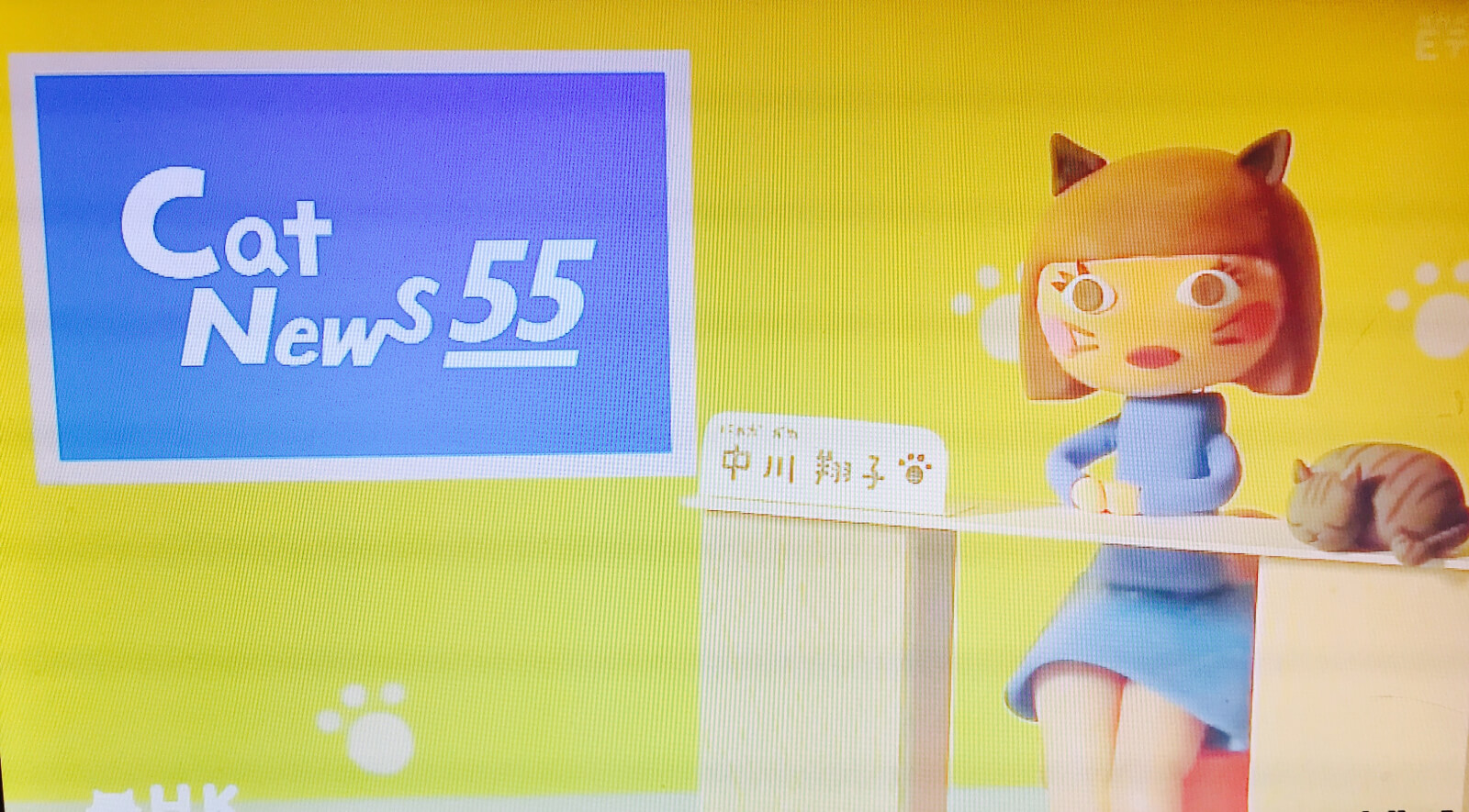 キャットニュース55