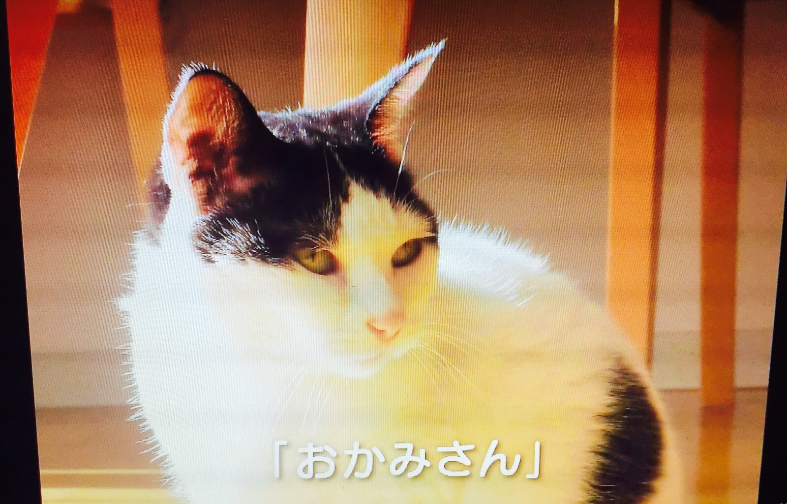 おかみさん