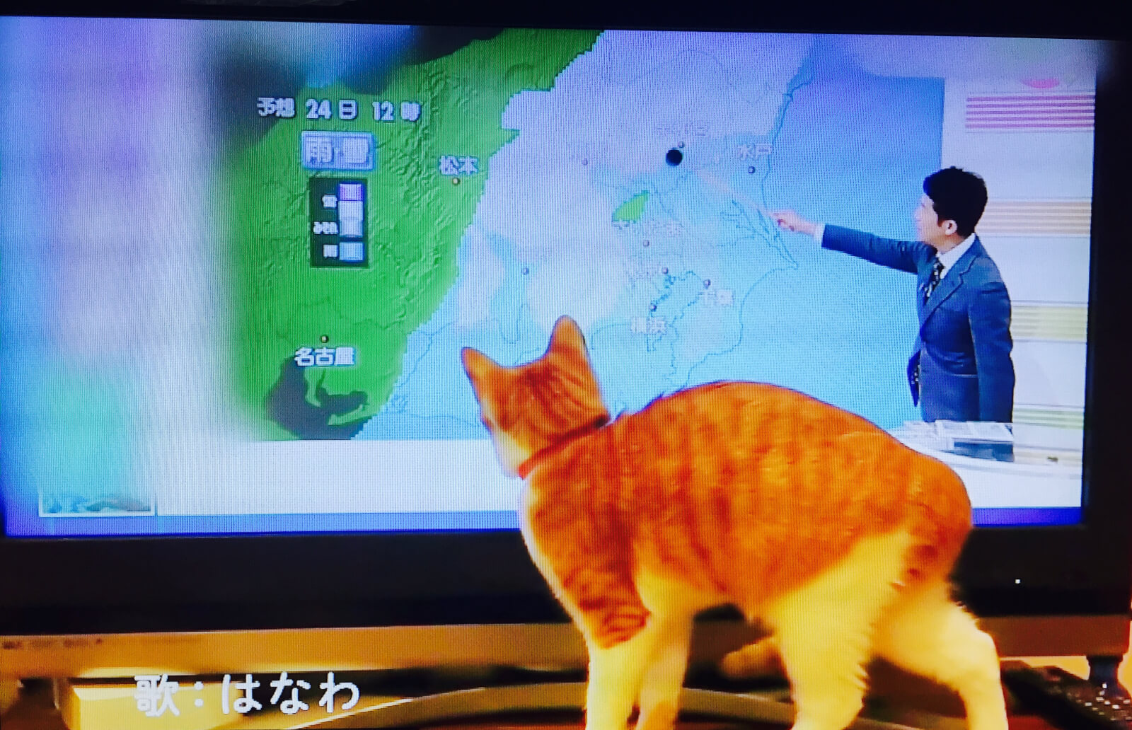 黒い丸