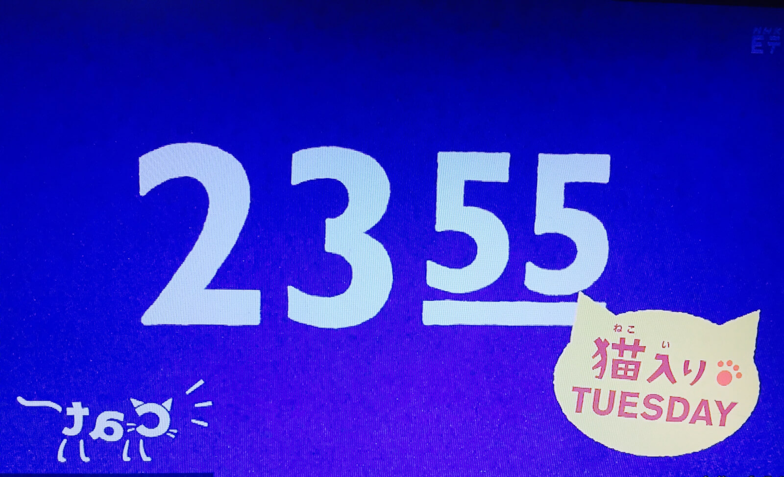 2355猫入りチューズデー
