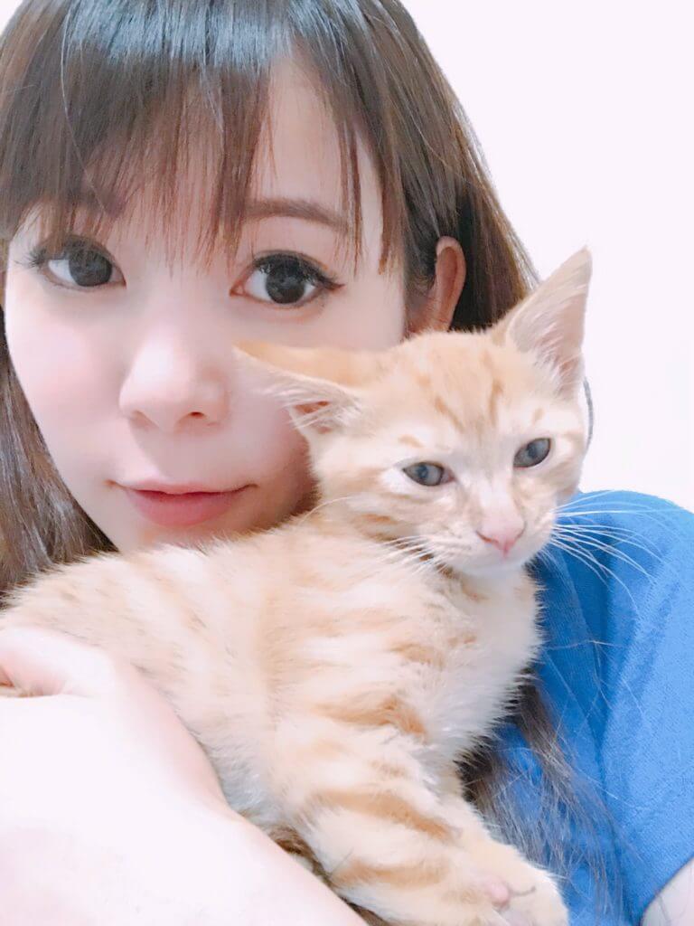 石田ゆり子にガッキー!女優たちのこだわり ...